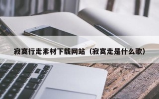 山南寂寞行走素材下载网站（寂寞走是什么歌）